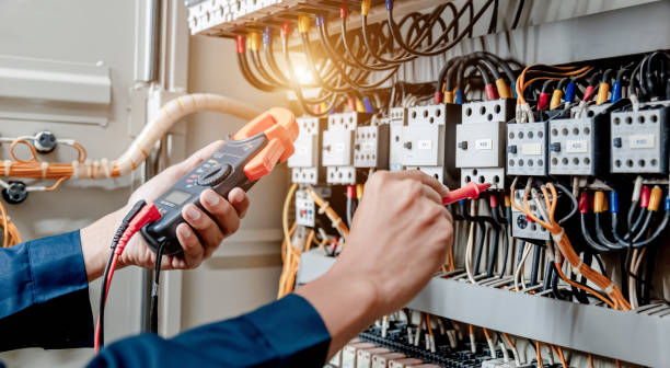 Best Home Electrical Repair  in Genoa City, WI