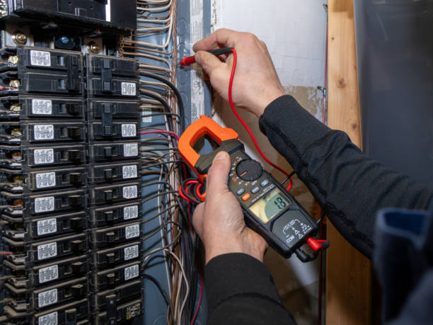 Best Licensed Electrician  in Genoa City, WI